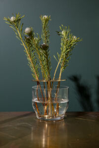 Inform — Ikebana Vase Small
